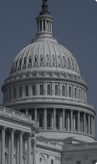 Government Entities